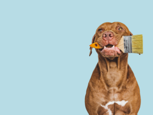 a brown dog holding a paintbrush